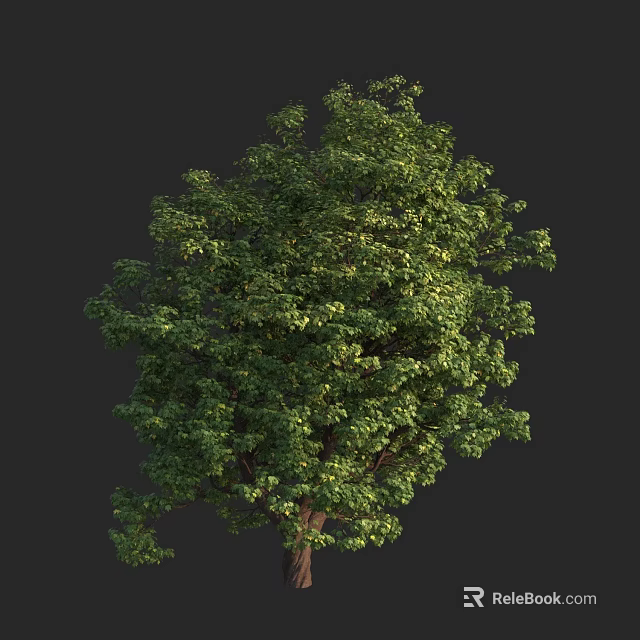 Arbor With Lush Green Foliage And Sturdy Trunk In Natural Environment 3d model 