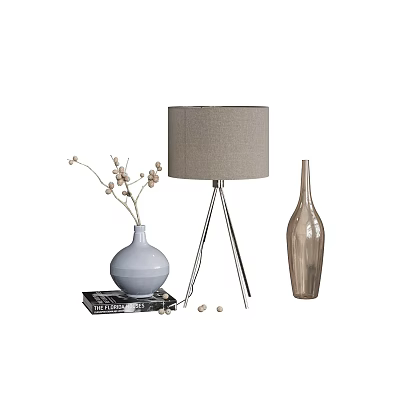 Stylish Decorative Ornament Set with Table Lamp Vases Dried Flowers and Book for Home Interior 3d model