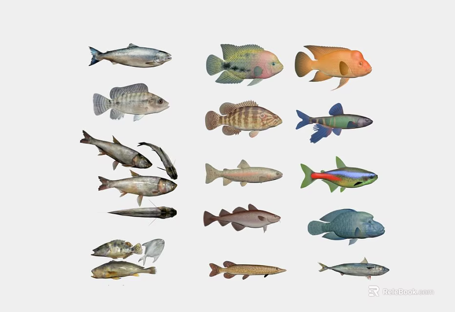 Diverse Aquatic Animals Featuring Colorful Fish Sharks And Marine Species 3d model 