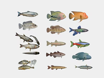 Diverse Aquatic Animals Featuring Colorful Fish Sharks And Marine Species 3d model