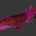Red and orange striped predatory fish with sharp teeth displayed in realistic 3D rendering 3d model