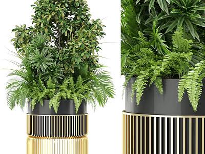 Decorative Ornament Set with Green Plants Ferns and Gold Black Stand 3d model
