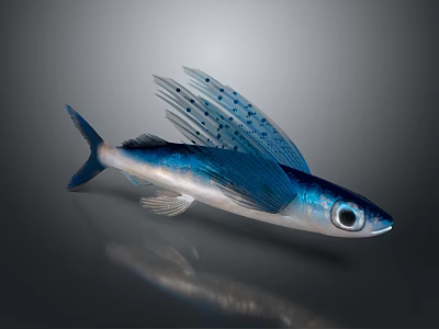 Vibrant Blue Silver Flying Fish With Extended Fins And Large Eyes In Ocean 3d model