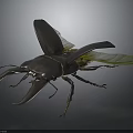Blue Beetle With Large Horns And Wings Near Green Leaf On Dark Background