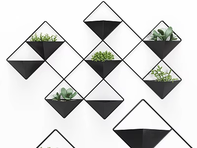 Geometric Black Wall Planters with Green Potted Succulent Plants Decorative Design 3d model