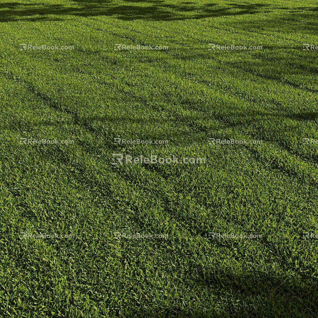 modern lawn 3d model