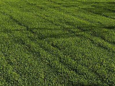 modern lawn 3d model