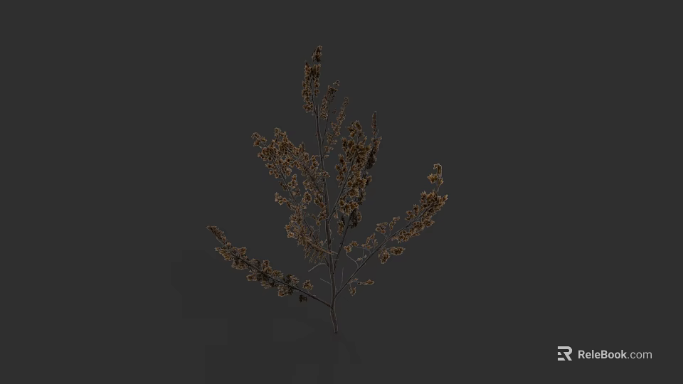 Dry Brown Shrub With Delicate Branches And Small Leaves On Dark Background 3d model 