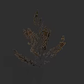 Dry Brown Shrub With Delicate Branches And Small Leaves On Dark Background