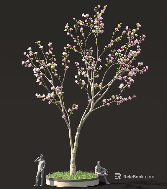Blooming Pink Flowering Tree With Slender Branches Against Black Background 3d model