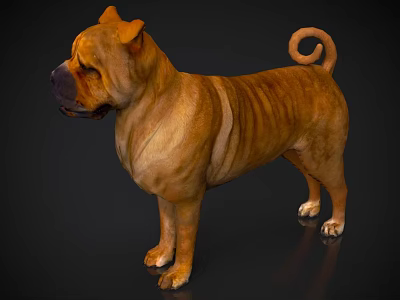 Petting zoo small animal dog 3d model