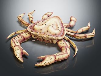 modern crab king crab 3d model