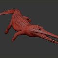 Modern Crocodile Alligator 3d model