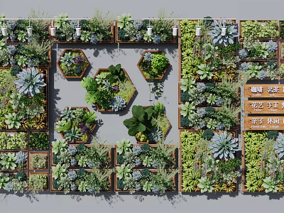 Living Wall Design With Succulent Plants Hexagonal Planters And Wooden Frames 3d model