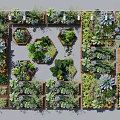 Living Wall Design With Succulent Plants Hexagonal Planters And Wooden Frames