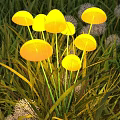 Mushroom Shaped Outdoor Lights Glowing Warmly Among Green Grass in Garden