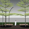 Illuminated Arbor Trees With Circular Lights On Night Wooden Deck And Person In White Dress
