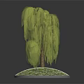 Two Graceful Weeping Willow Plants On Circular Grassy Bases With Green Foliage