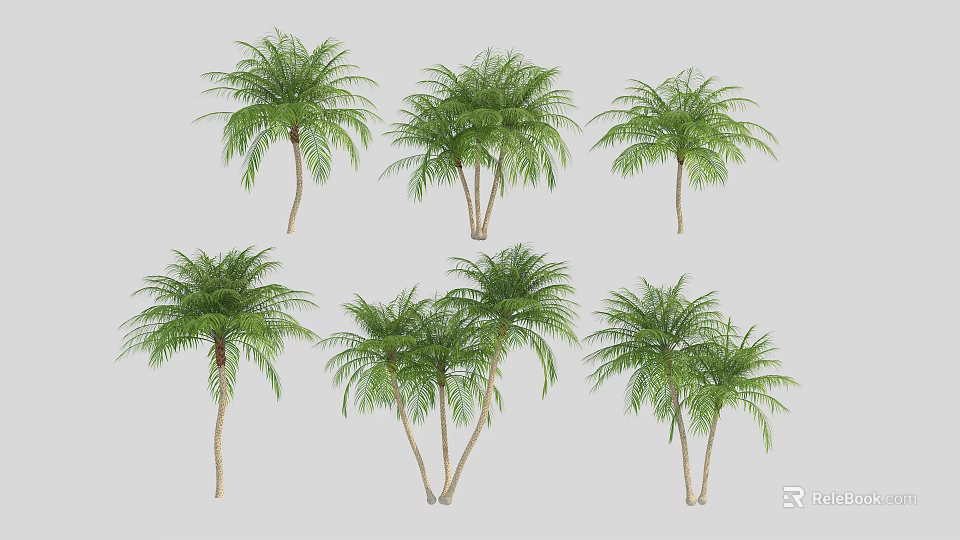 Palm Trees With Lush Green Foliage And Single Or Multiple Trunks 3d model