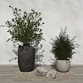 Bonsai Plants in Black Pot and White Planter on Woven Mat with Stones Grey Wall
