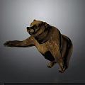 Detailed Realistic Brown Bear Sculpture Standing Pose With Extended Front Paw