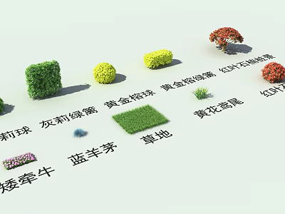 Modern shrub landscape plant small shrub 3d model