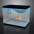 Clear Fish Tank Interior With Colorful Fish Green Aquatic Plants And Black Top