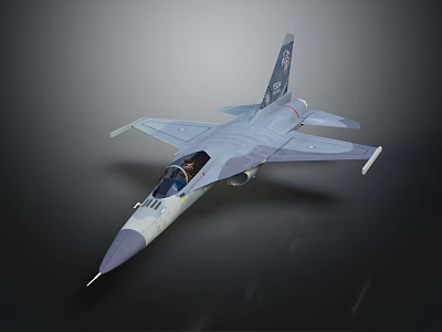 Modern Gray Fighter Jet With Cockpit Tail Insignia And Sleek Side View Design 3d model