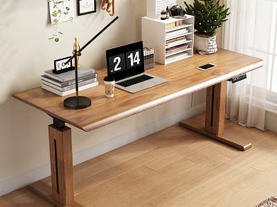 Wooden Writing Desk with Laptop Desk Lamp Books Mug and Potted Plant 3d model