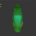 Enchanted Glass Bottle With Green Liquid Golden Decorative Base Red Stopper And Ring