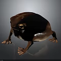 Fat Red Spotted Frog With Short Limbs And Round Body On Dark Background 3d model