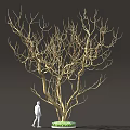 Golden Leafless Tree With Human Figure And Green Base 3d model
