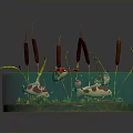 Vibrant Aquatic Plants Growing in Circular Green Container With Red Accents