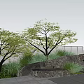 Natural Garden Ornament With Rock Structure Water Basin Tree And Green Plants
