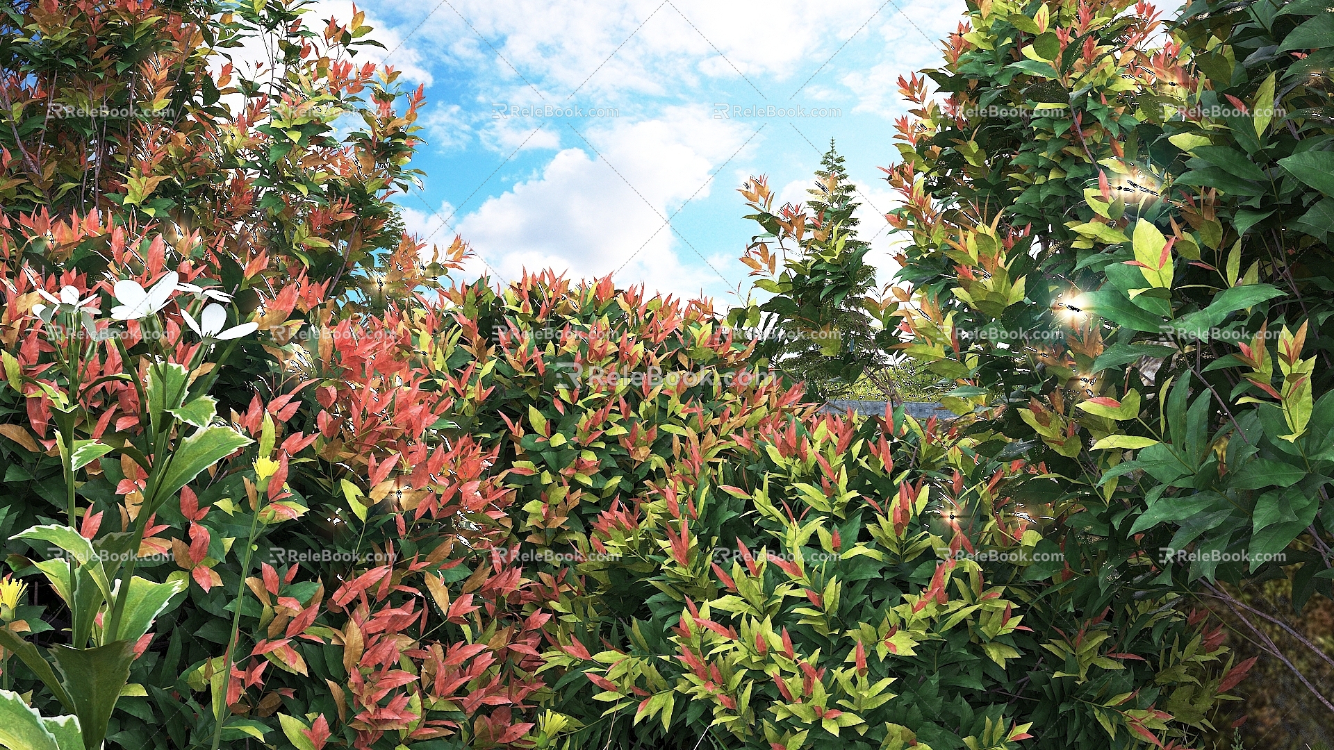 Modern Landscape Shrub Shrub Plant Combination Natural Landscape 3d model