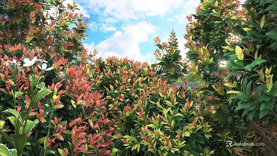 Lush Garden Shrubs With Red Green Foliage Thriving Under Blue Sky Sunlight 3d model 