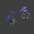 Purple Fantasy Flowers With Green Curled Stems And Large Petals Design