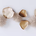 Elegant Wall Decor with Brown Gold Floral Spherical Elements for Interior Spaces 3d model