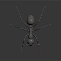 Ant as Metallic 3D Model With Shiny Surface And Reflection On Dark Background 3d model