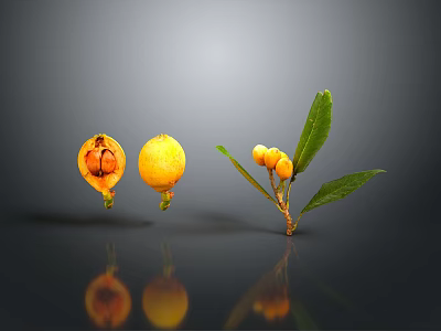 Fresh Loquat Fruits Sliced Open With Branch And Green Leaves 3d model