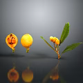 Fresh Loquat Fruits Sliced Open With Branch And Green Leaves