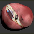 Detailed 3D Anatomical Model of Abdominal Organs With Pink Intestines Orange Liver And Stomach Structures