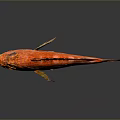 Colorful Red Orange Spotted Fish With Spiky Fins Blue Eyes And Vibrant Scales