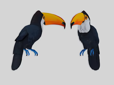 Two Black Toucans With Orange Beaks White Throats And Blue Feet Standing 3d model