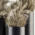 Modern Black Cylindrical Vases With Dried Grass Flowers For Home Decorative Arrangement