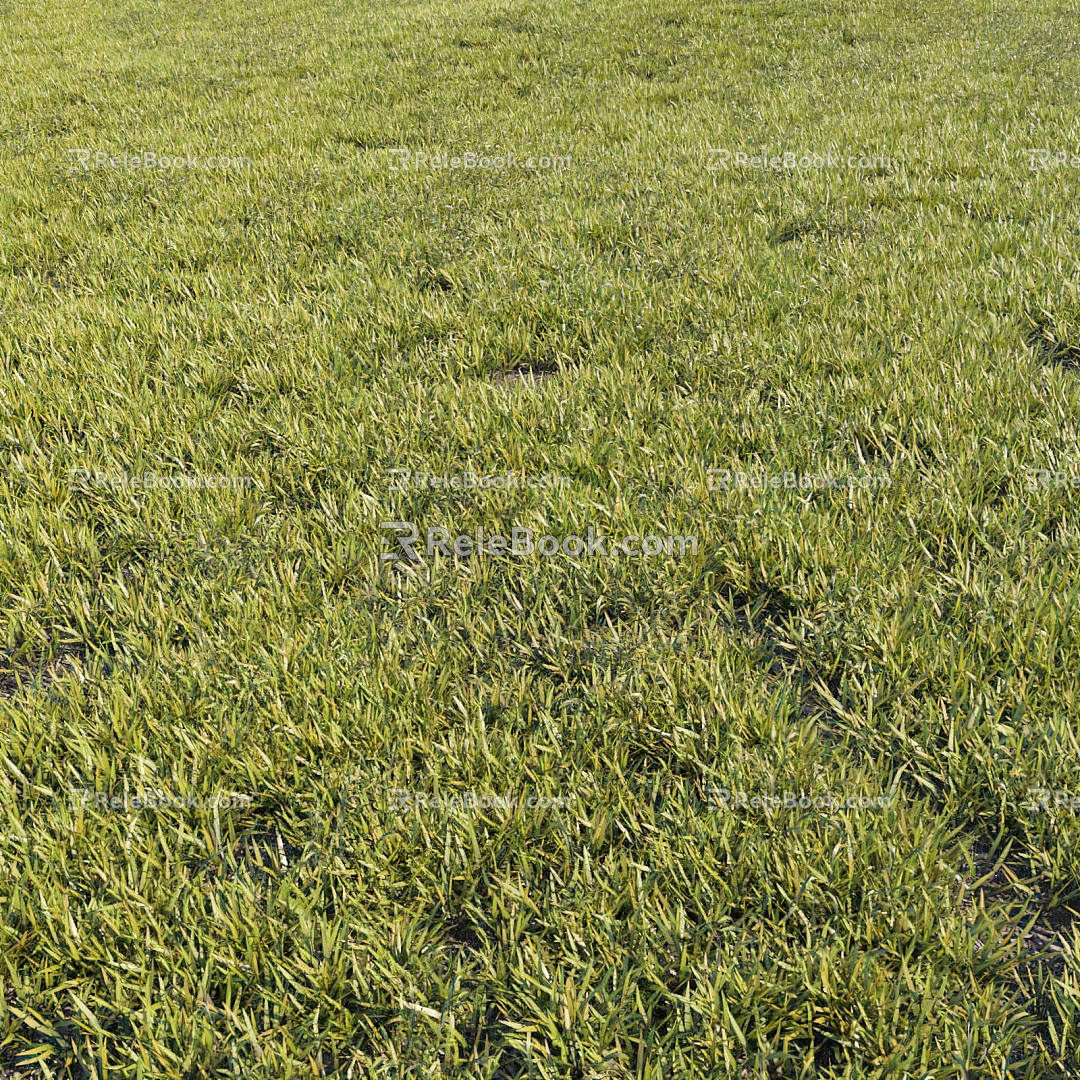 modern grass lawn grass 3d model