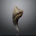 Ancient Organ Fossil Featuring Natural Brown And Beige Textured Surface