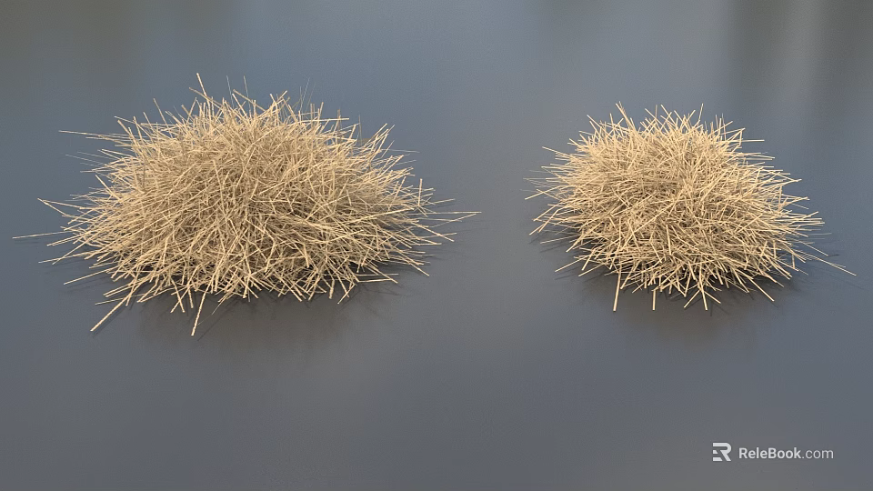 Dried Grass Plants With Spherical Shape Displayed on Dark Background Surface 3d model 