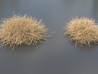 Dried Grass Plants With Spherical Shape Displayed on Dark Background Surface 3d model