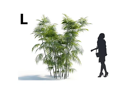 Garden Decor Featuring Lush Green Bamboo Plants And Walking Woman Silhouette 3d model